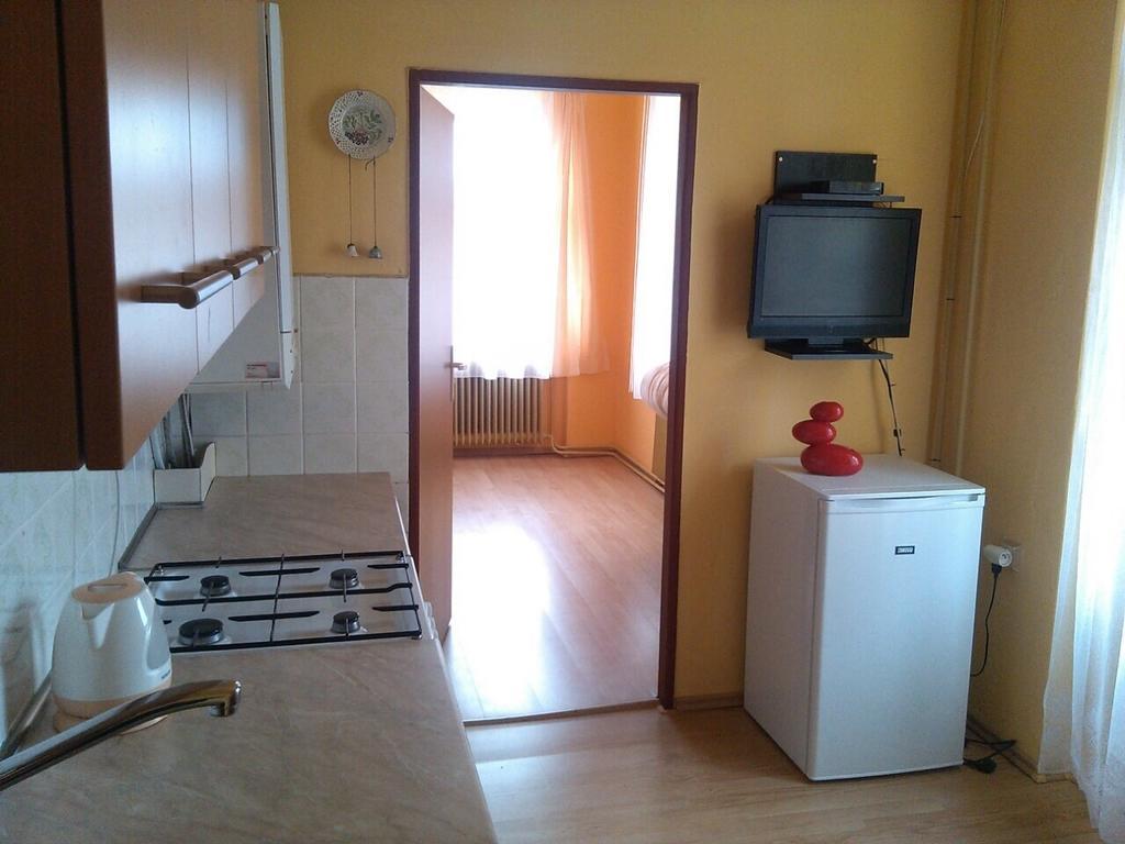 Pension Vidhous 1 Františkovy Lázně 部屋 写真