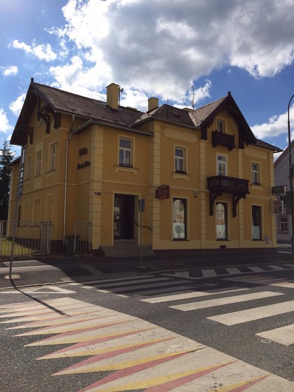 Pension Vidhous 1 Františkovy Lázně エクステリア 写真