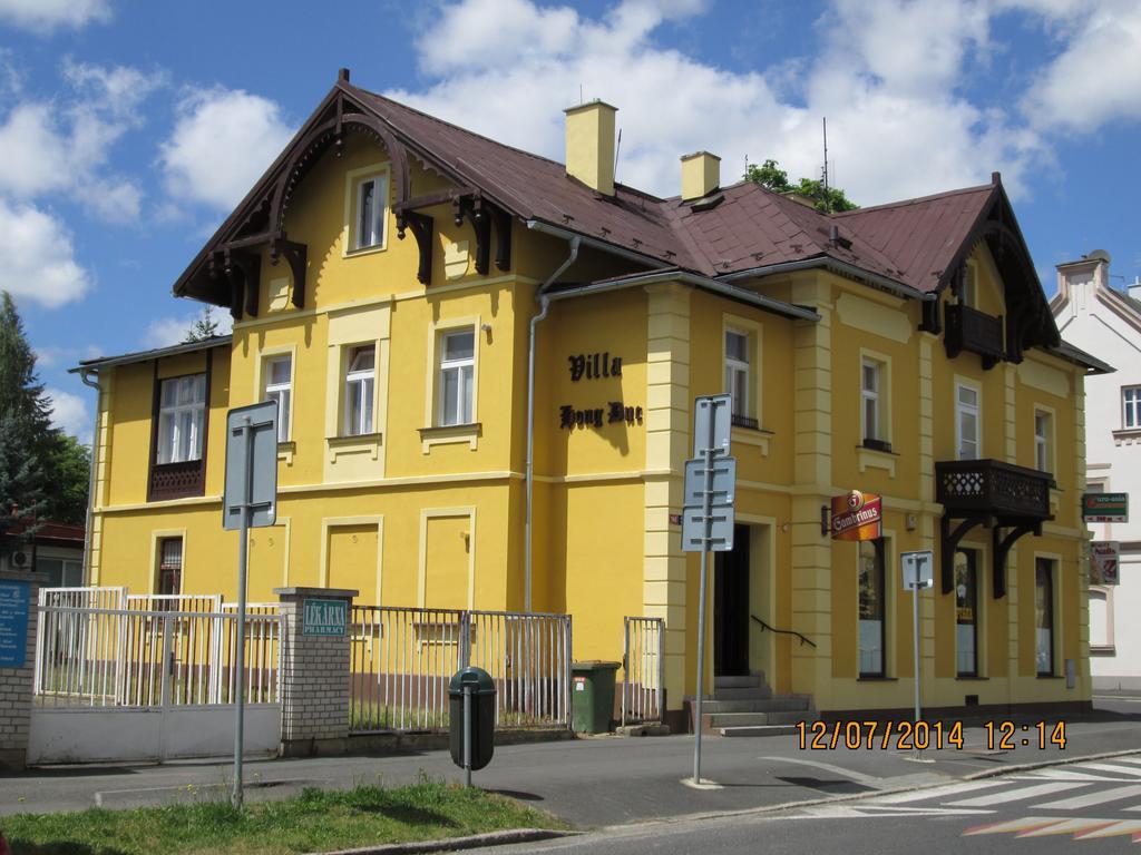 Pension Vidhous 1 Františkovy Lázně エクステリア 写真