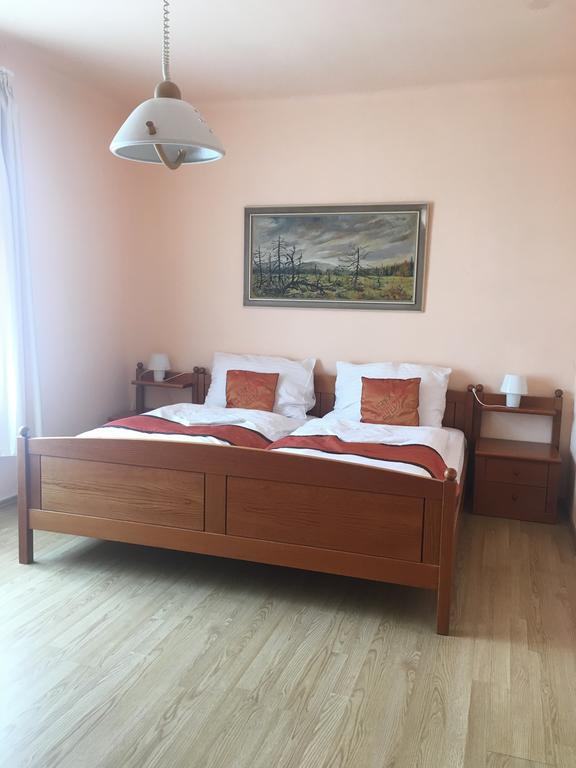 Pension Vidhous 1 Františkovy Lázně エクステリア 写真